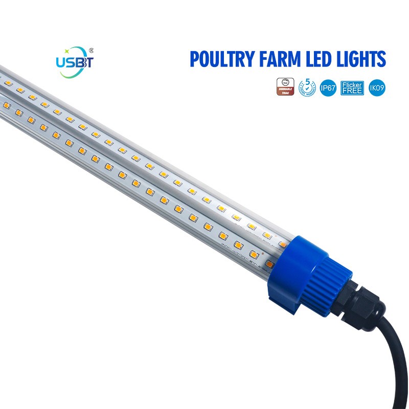 Poultry Farm LED Lighting 
