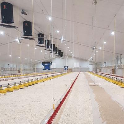 LED farming lighting research and development and promotion