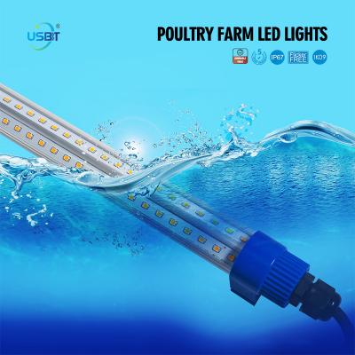 Poultry Farm LED Lighting 